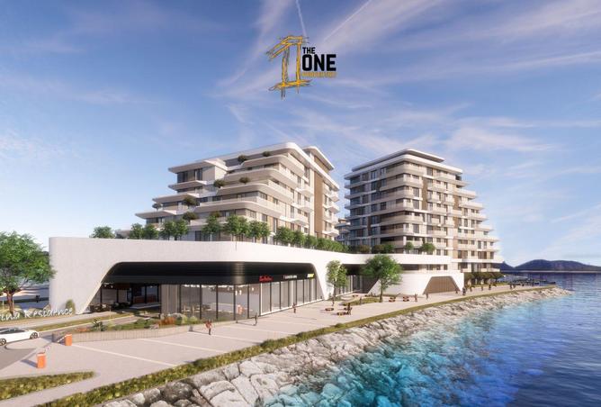 14814530 - Property Image 3