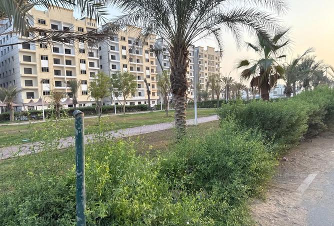 15858487 - Property Image 2