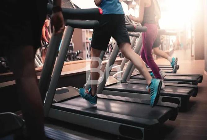 15219435 - صورة العقار 3