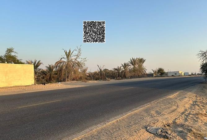 15800691 - صورة العقار 2