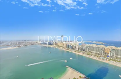 شقة - غرفة نوم - 1 حمام للبيع في برج Palace Beach ريزيدنس 2 - بالاس بيتش ريزيدنس - إعمار بيتشفرونت - دبي هاربور - دبي