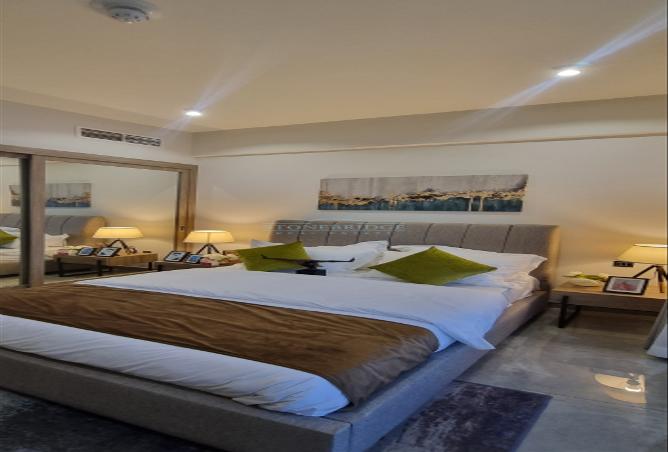 13306911 - Property Image 3