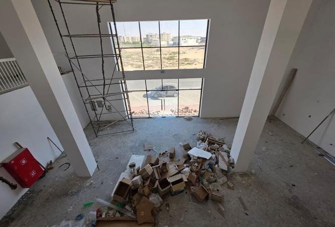 16036814 - Property Image 3