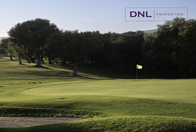 15952774 - Property Image 3