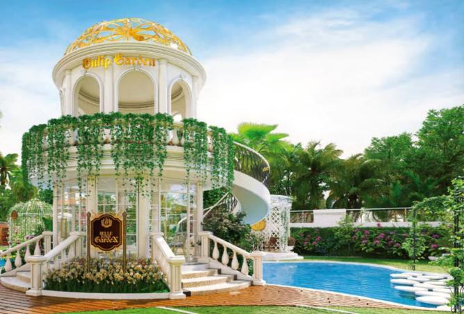 16086607 - صورة العقار 3