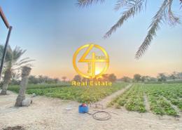 Farm for sale in Al Dhahrah - Al Ain