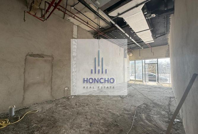 15971484 - Property Image 3