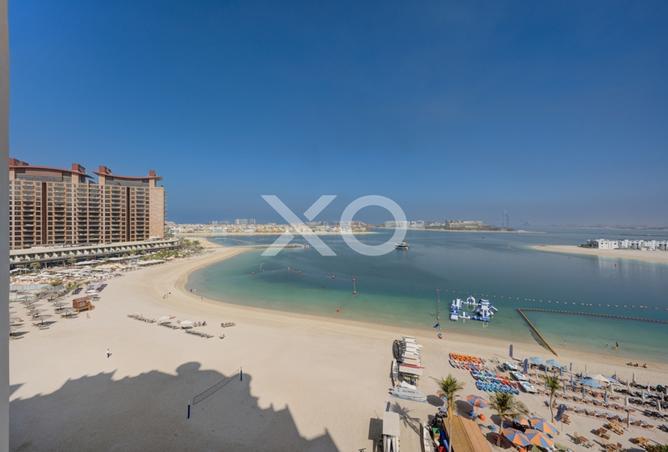 16078921 - Property Image 3