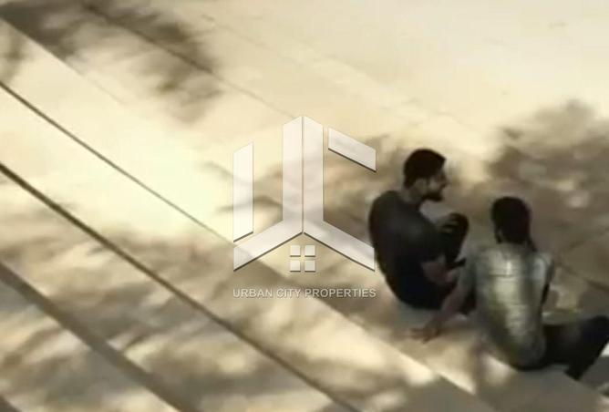 16043669 - Property Image 3