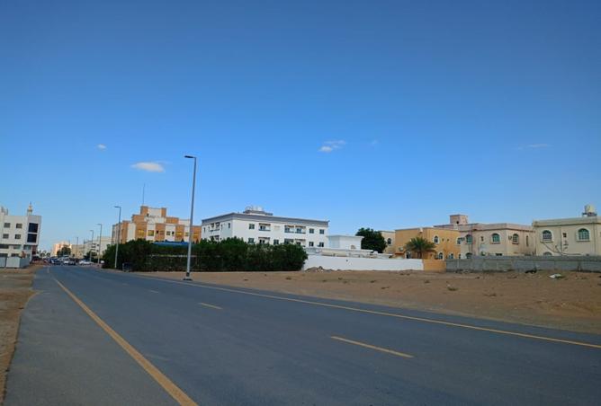 15978365 - Property Image 3