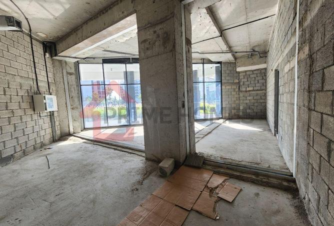 15475969 - Property Image 3