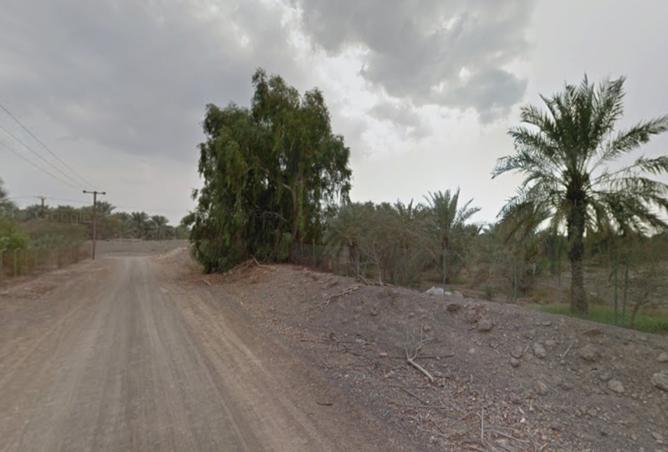 15801000 - صورة العقار 2