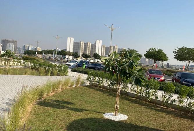 15770628 - Property Image 3