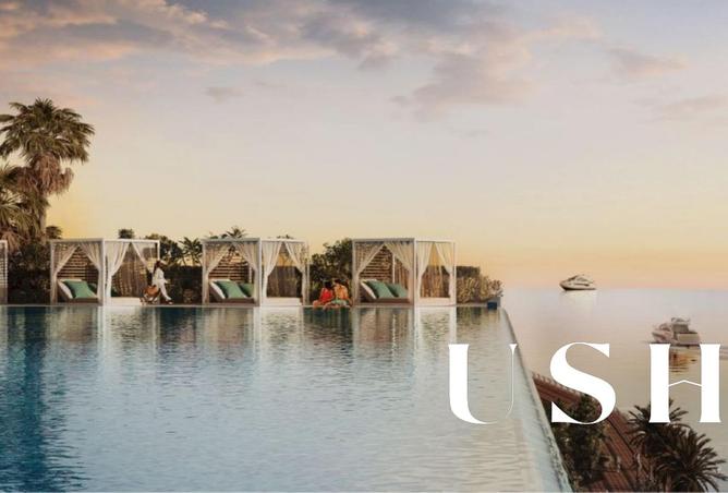 15638909 - Property Image 2