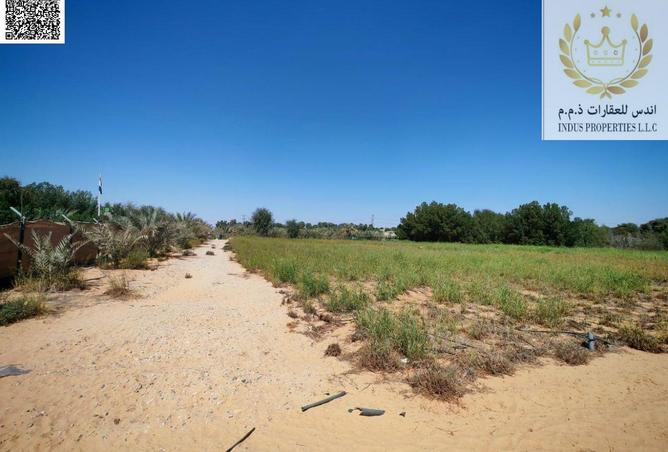 15366686 - صورة العقار 3