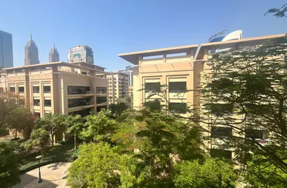 شقة - غرفة نوم - 1 حمام للايجار في النخيل 3 - مشروع النخيل - جرينز - دبي