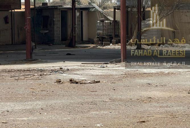 14903129 - Property Image 3