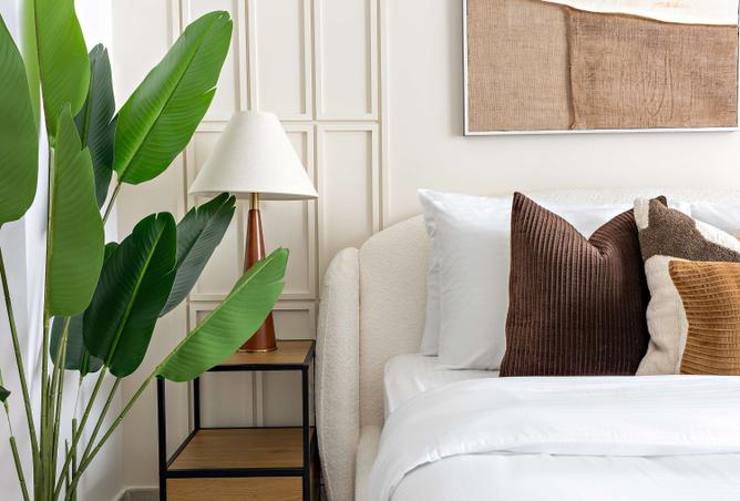 15833538 - Property Image 3