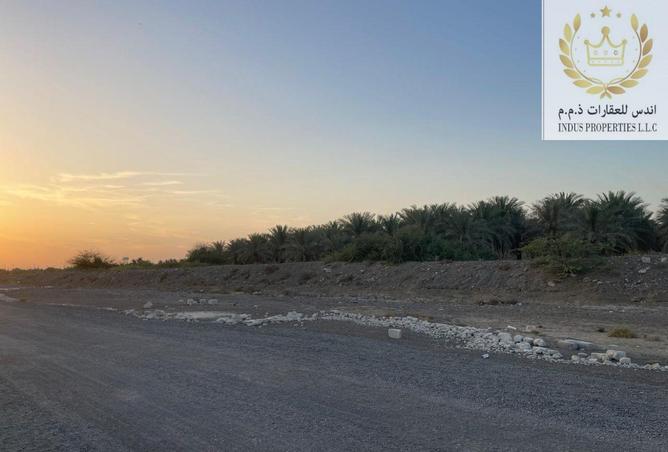 15213435 - صورة العقار 3