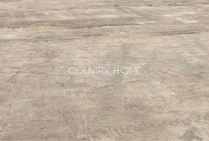 15250418 - Property Image 3