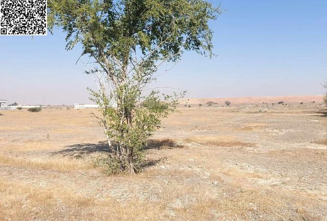 16086637 - صورة العقار 2