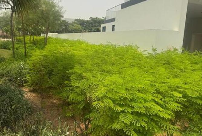 15609401 - صورة العقار 2