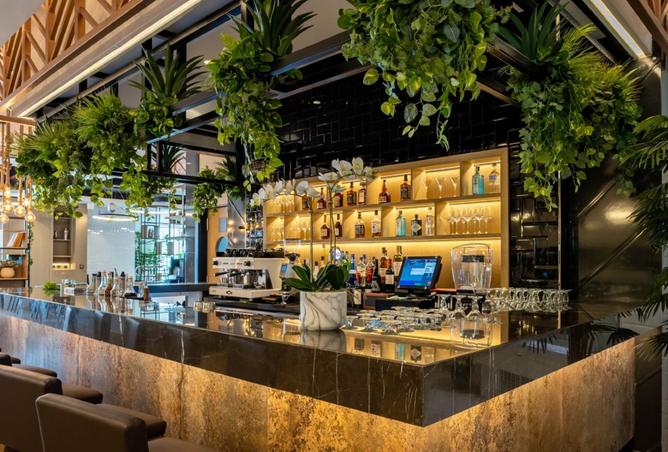 16064905 - صورة العقار 3