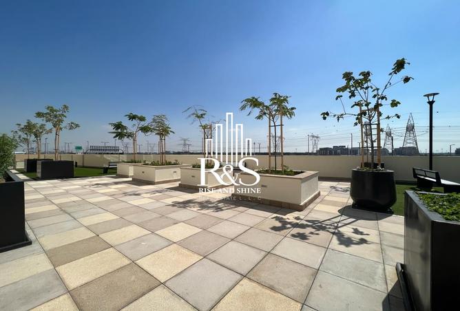 15806781 - Property Image 3