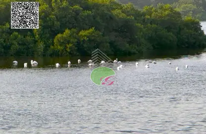 Apartment - 1 Bedroom - 2 Bathrooms for sale in Creekside - Al Zorah - Ajman