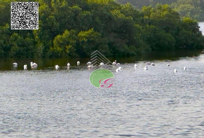 15900351 - Property Main Image