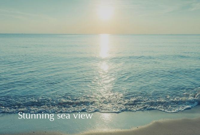 15683032 - Property Image 2