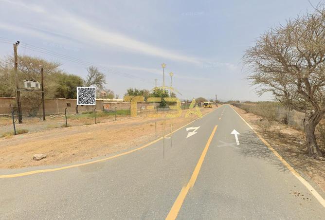 15594726 - Property Image 2