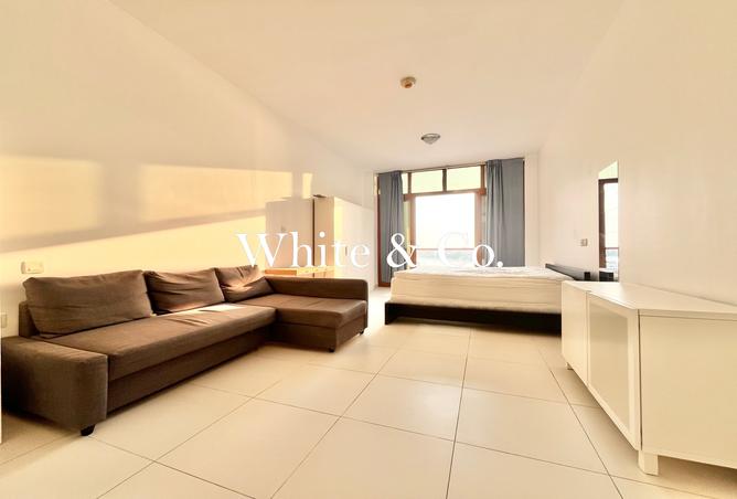 16054867 - Property Image 3