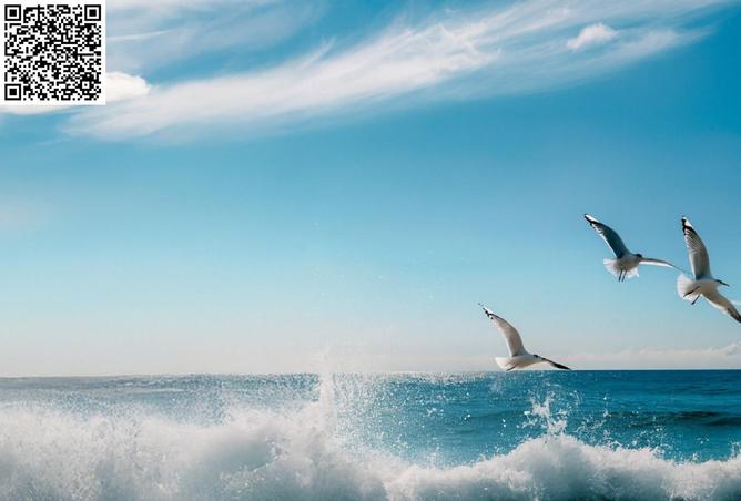 15609207 - صورة العقار 3