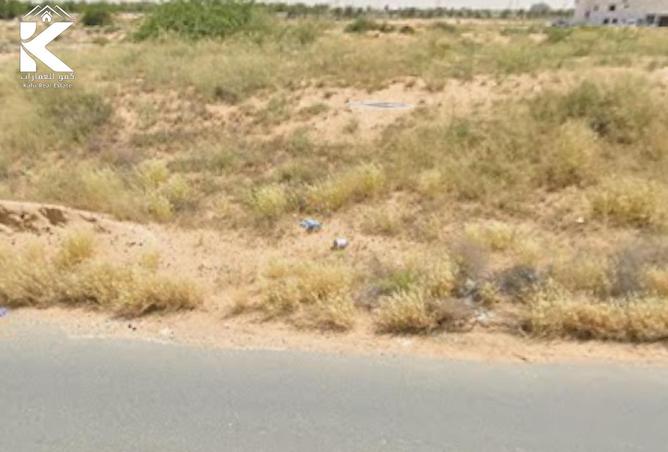 15669552 - Property Image 3