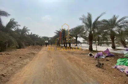مزرعة - استوديو - 2 حمامات للبيع في الصالحية - رأس الخيمة