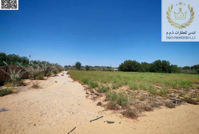 15370606 - صورة العقار 2