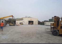 Warehouse - 2 bathrooms for sale in Hamriyah Free Zone - Sharjah