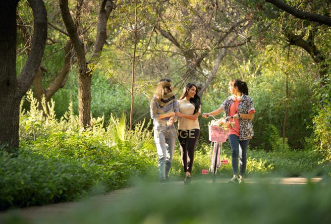 15560598 - صورة العقار 2