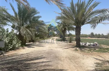 Farm - Studio for sale in Al Ajban - Abu Dhabi