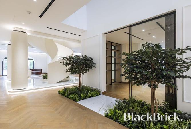 15545782 - صورة العقار 3