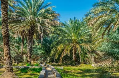 مزرعة - استوديو للبيع في الساد - العين