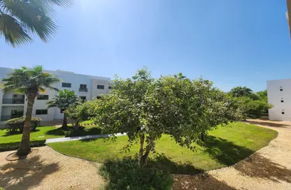 Apartment - 1 Bedroom - 1 Bathroom for rent in The Gardens Buildings - The Gardens - Dubai