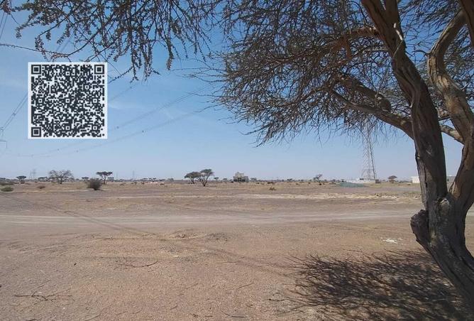 15901380 - Property Image 3