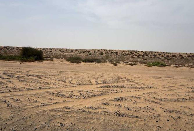 15888600 - صورة العقار 2