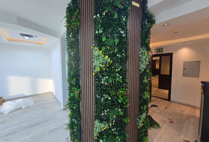 15764956 - صورة العقار 2