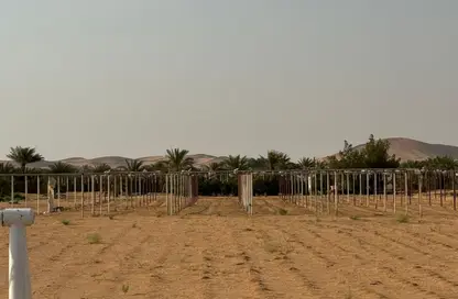 مزرعة - استوديو للبيع في العجبان - أبوظبي