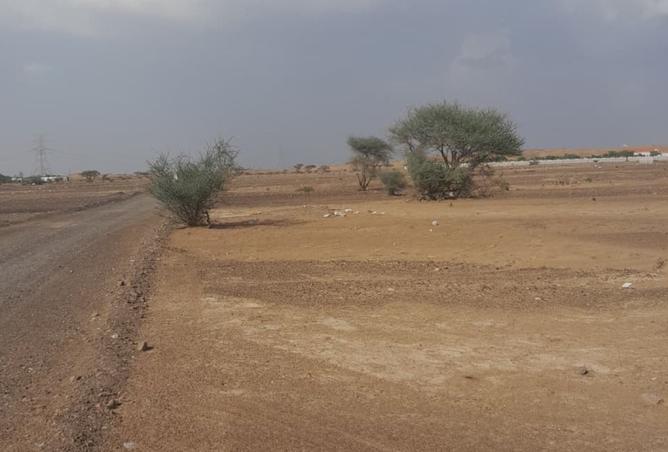 15864811 - Property Image 2