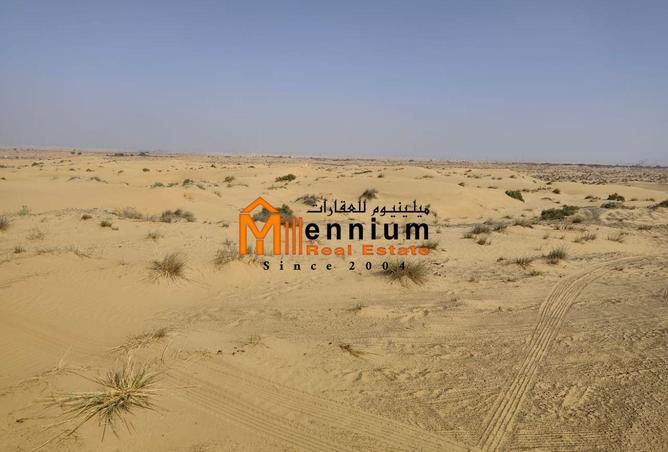 15665941 - Property Image 3