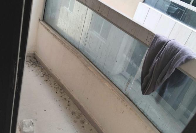 15671860 - Property Image 3